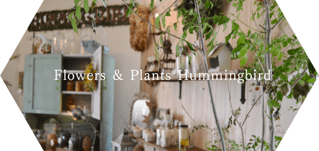 Flowers & Plants Hummingbird